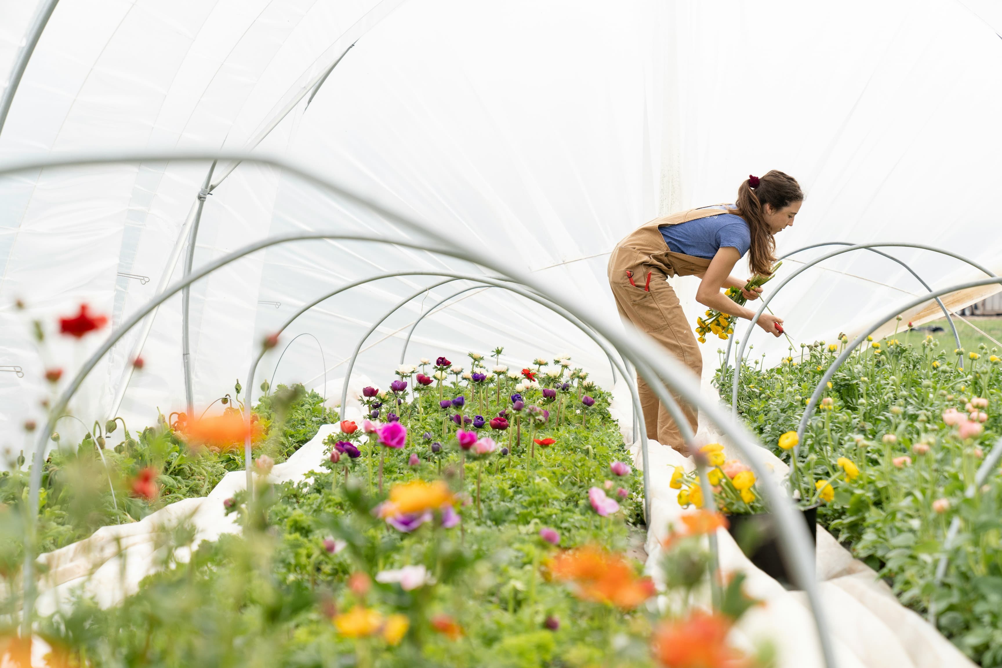 Sustainable Agriculture